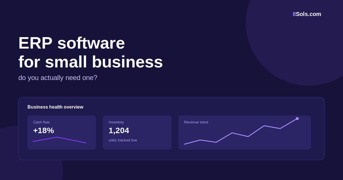 ERP Software for Small Business: Do You Actually Need One?